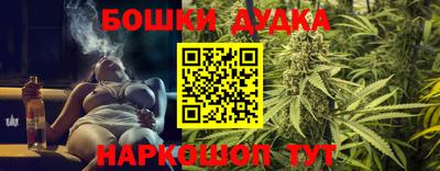 гидра Аргун